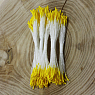 Тычинки тайские длинная пыльца, Желтая головка белая нить, 10 пучков (500 головок)